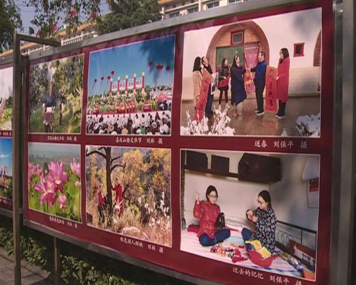 虫虫助手下载