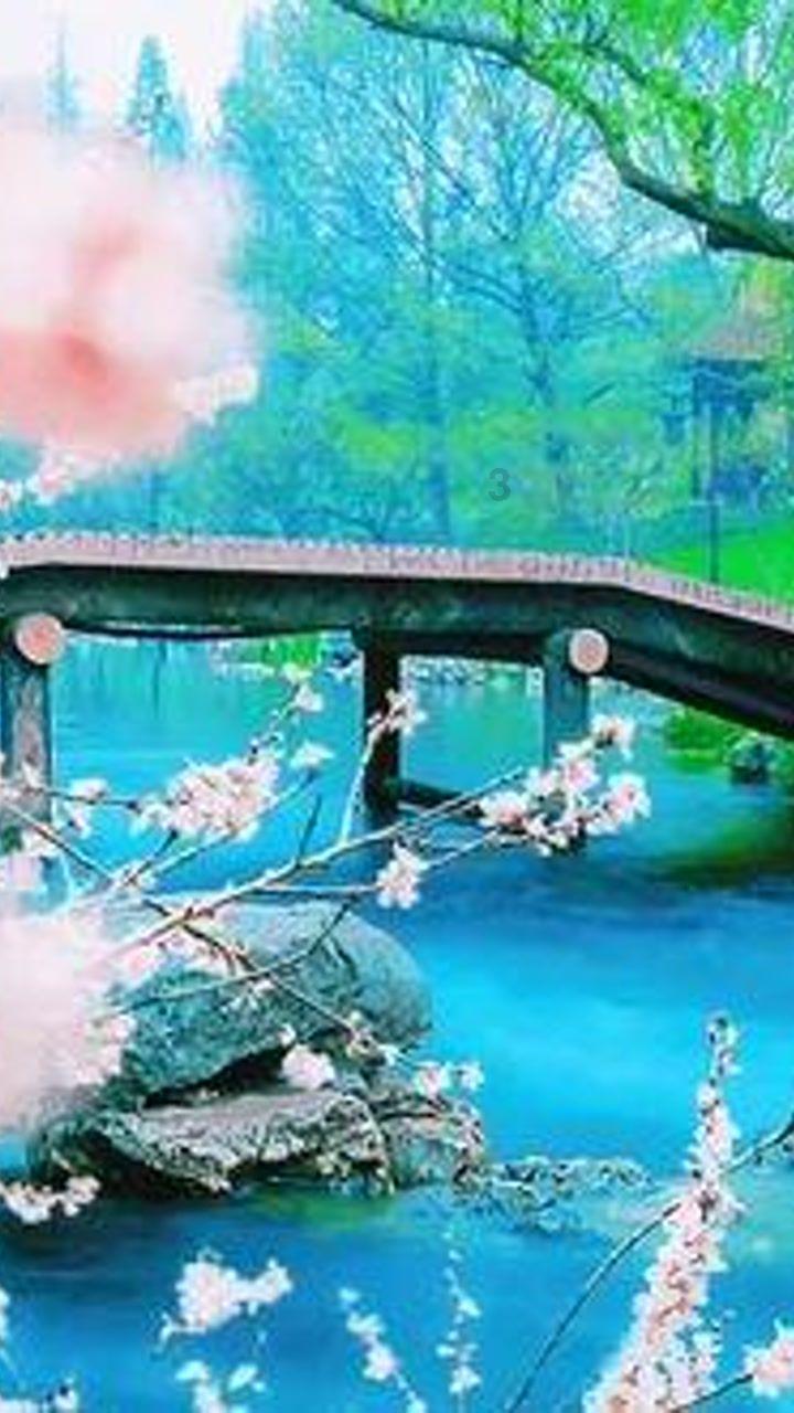 侠客风云传OL